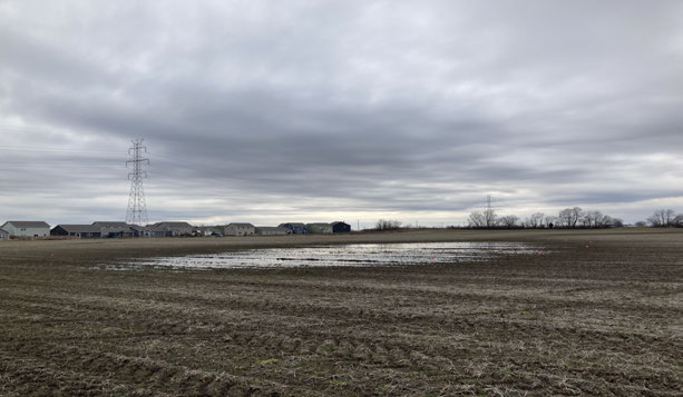 Site Photo 12 Hydric Soil Ponding